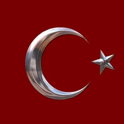 türk bayrağı 7 1
